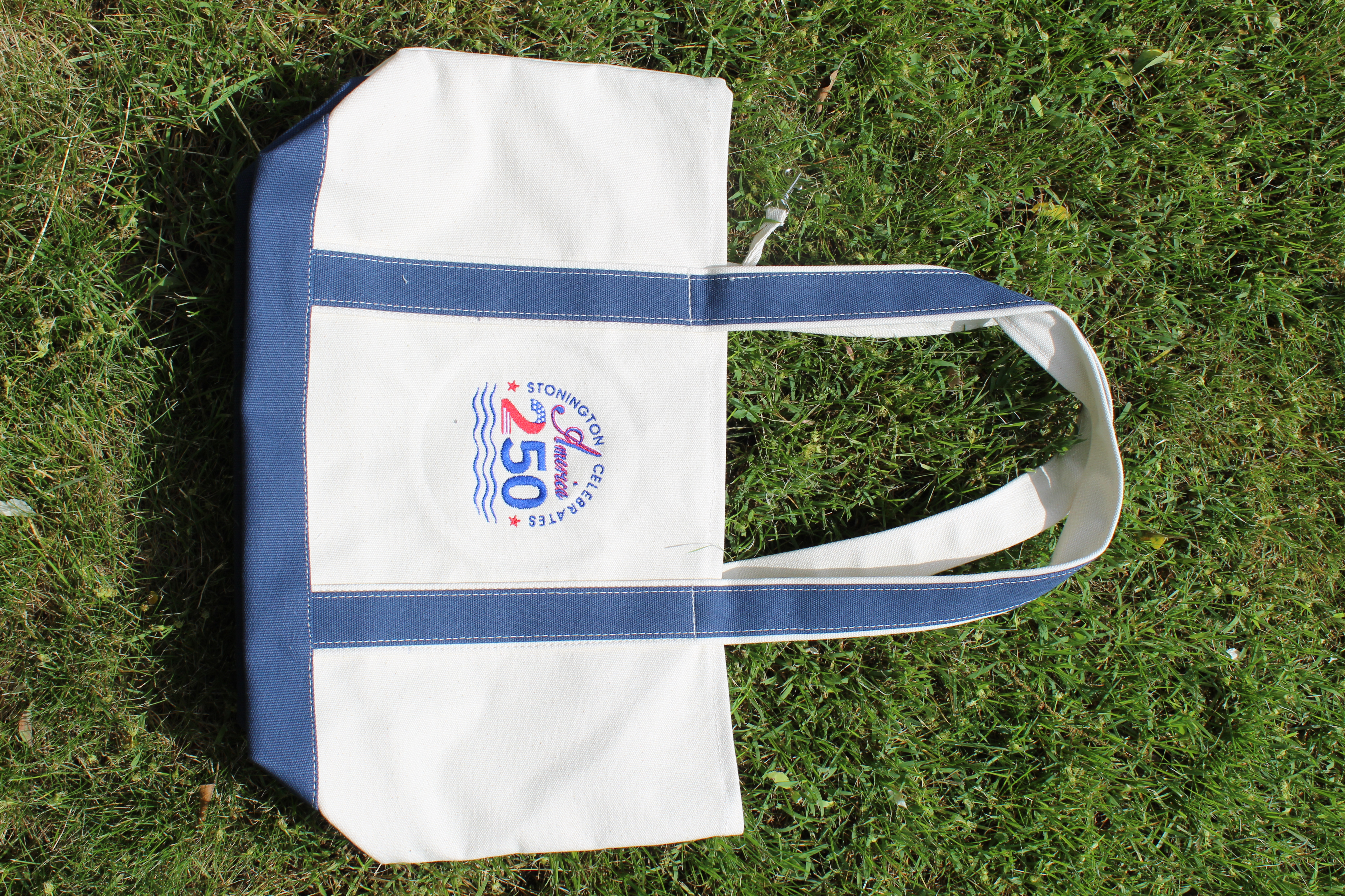 America 250 Tote Bag