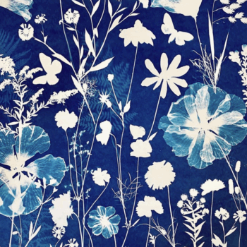 Fall Art Series #1 - Cyanotype on Sunday September 27, 10-11 AM